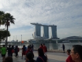 CSR - August 2018 - Community Chest Heartstrings Walk 2018