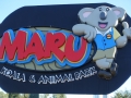 Play Hard - May 2017 – Australia Company Trip