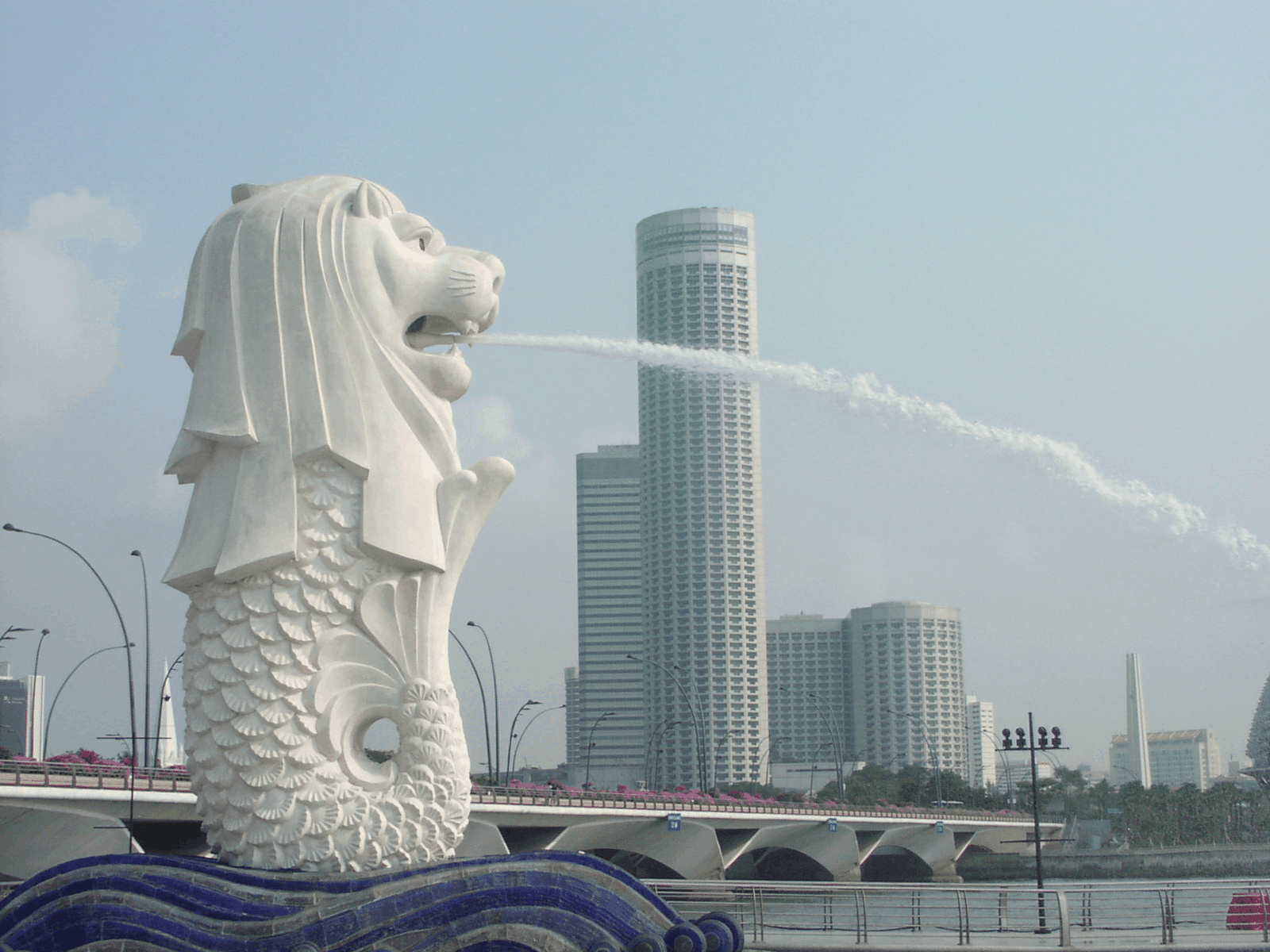Singapore singapore company incorporation