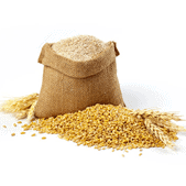 Guide for Commodity Trading Business in Singapore Guide for Commodity Trading Business in Singapore