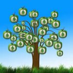 Government-backed loans