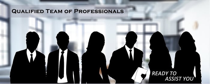 Qualified Team of Professionals