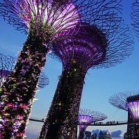 Gardens by the Bay Singapore