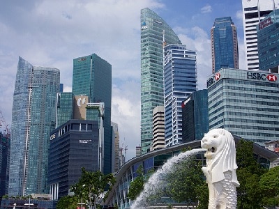 Singapore Holding Companies
