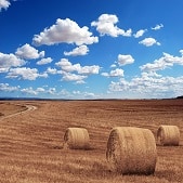 How to Start an Agricultural Business in Singapore