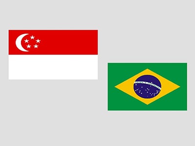 Agreement for Double Taxation Avoidance Between Singapore and Brazil