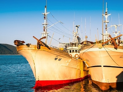 Guide to Starting a Yacht Charter Business in Singapore