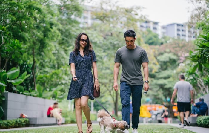 How to Start and Run a Successful Dog Walking Business in Singapore?