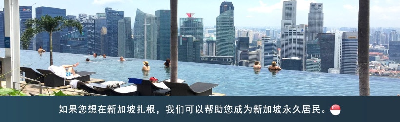 请查看有关新加坡永久居民的申请标准