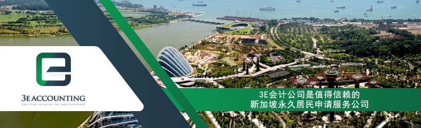请查看有关新加坡永久居民的标准申请
