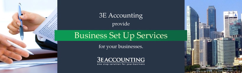Business Set Up Services