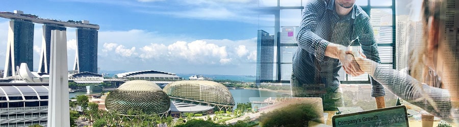 新加坡的持牌职业介绍所