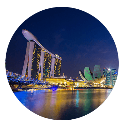 Singapore Immigration Services