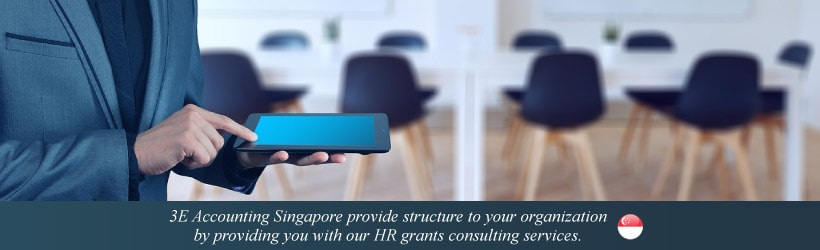 HR Grants Consulting Services