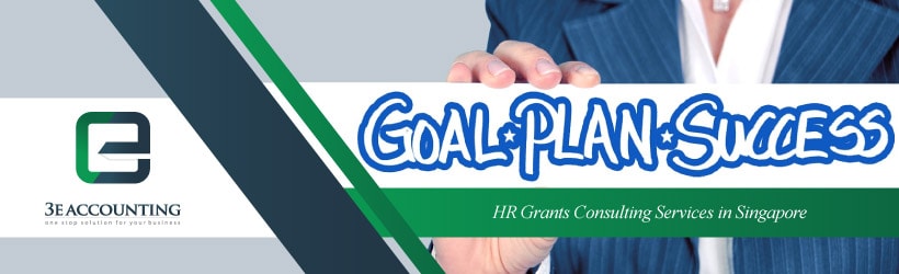 HR Grants Consulting Services
