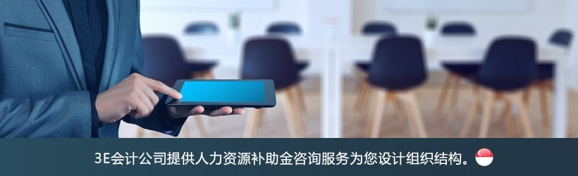 人力资源补助金咨询服务