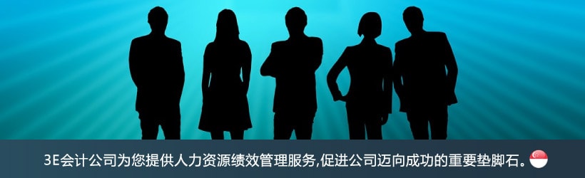 人力资源绩效管理服务