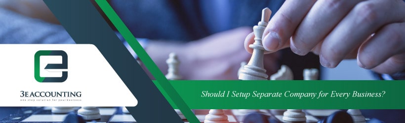Should I Setup Separate Company for Every Business?