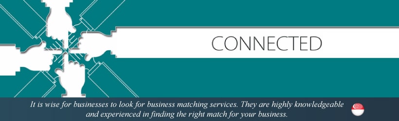 Business Matching Services 