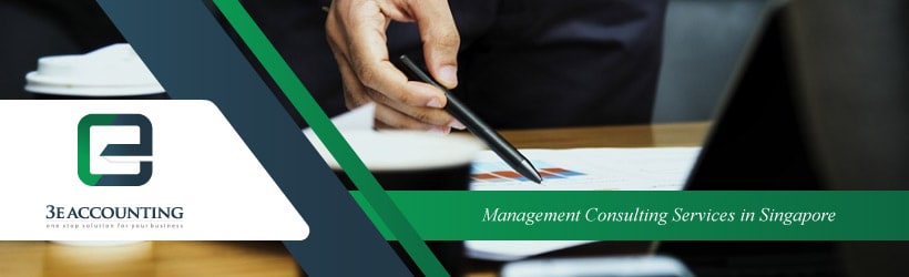 Management Consulting Services 