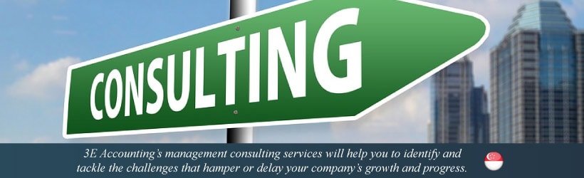 Management Consulting Services