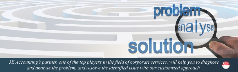 Problem Solving Services 