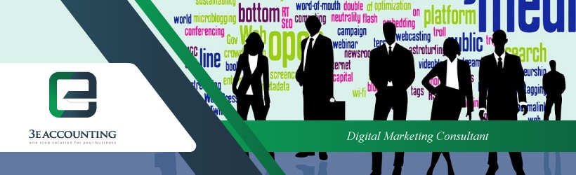 Digital Marketing Consultant