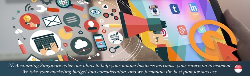 Digital Marketing Consultant