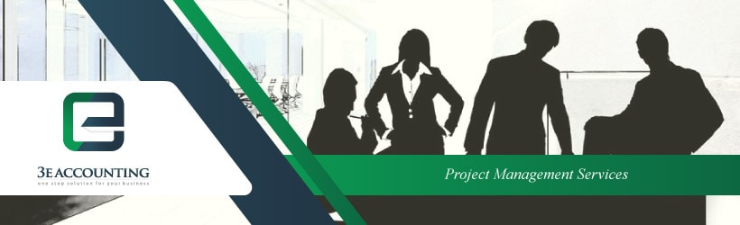 Project Management Services 