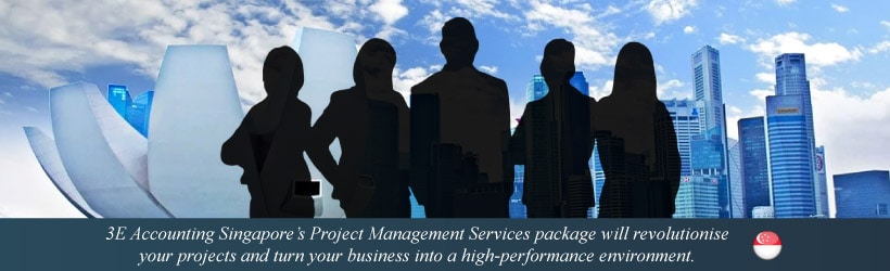 Project Management Services 