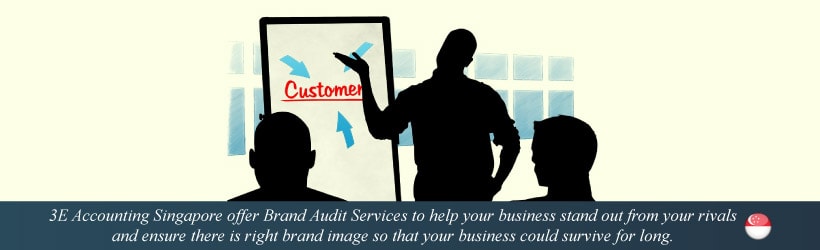 Brand Audit Services