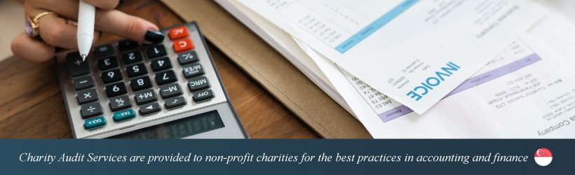 Charity Audit Services are provided to non-profit charities for the best practices in accounting and finance