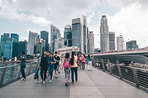 Singapore Immigration Schemes and Requirements
