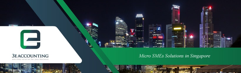 Micro SMEs Solutions in Singapore