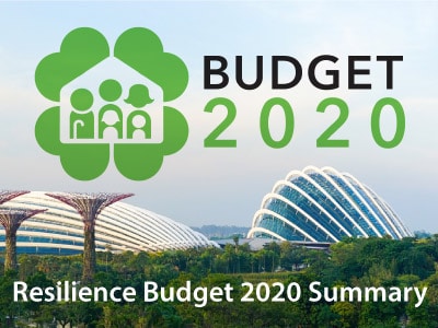 Resilience Budget 2020 Summary