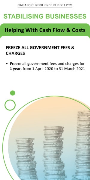 Stabilising Businesses - Freeze All Government Fees & Charges