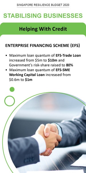 Stabilising Businesses - Enterprise Financing Scheme (EFS)