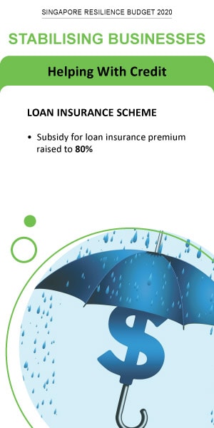 Stabilising Businesses - Loan Insurance Scheme