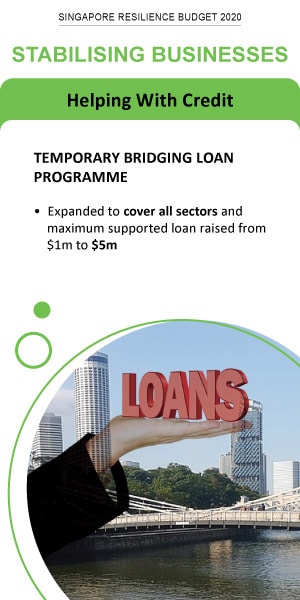 Stabilising Businesses - Temporary Bridging Loan Programme