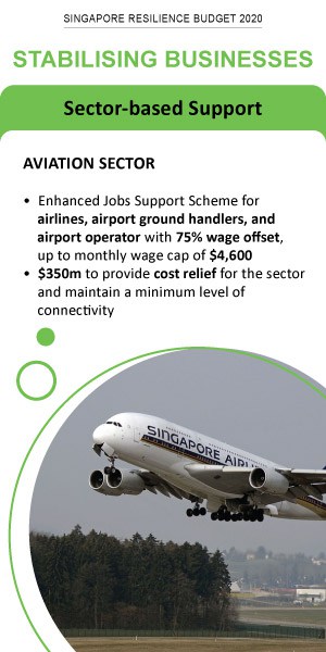 Stabilising Businesses - Aviation Sector