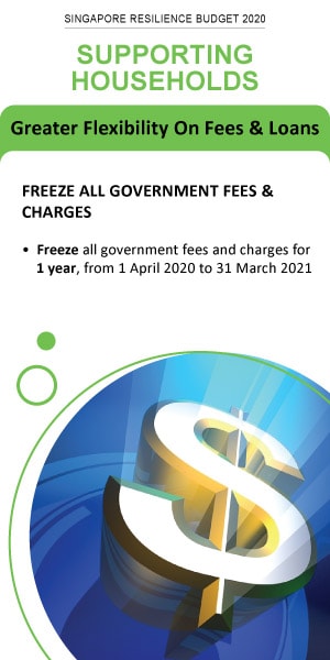 Supporting Households - Freeze All Government Fees & Charges