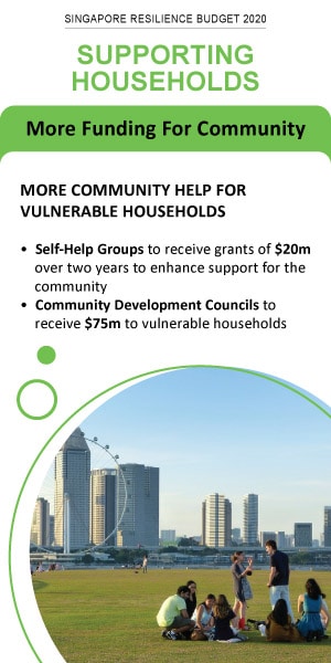 Supporting Households - More Community Help for Vulnerable Households