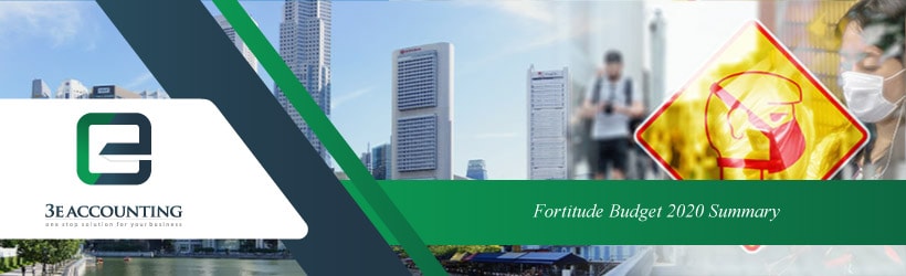 Fortitude Budget 2020 Summary