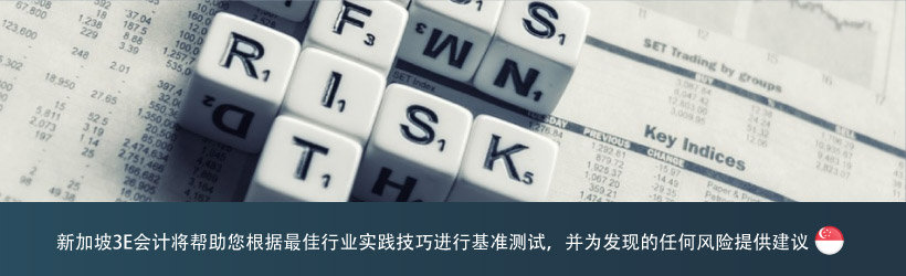 新加坡3E会计将帮助您根据最佳行业实践技巧进行基准测试，并为发现的任何风险提供建议