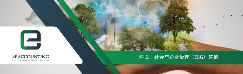 环境、社会与企业治理（ESG）咨询