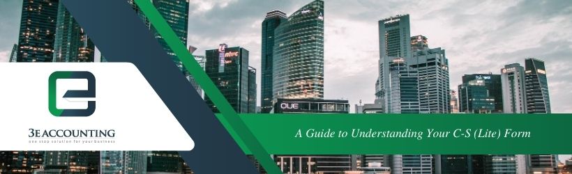 A Guide to Understanding Your C-S (Lite) Form