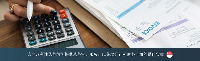  为非营利性慈善机构提供慈善审计服务，以获取会计和财务方面的最佳实践