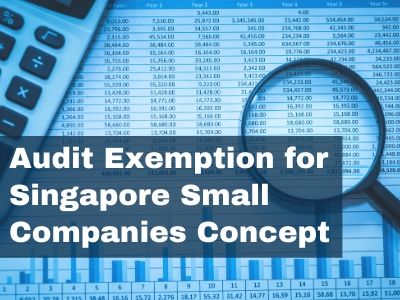 Audit Exemption for Singapore Small Companies Concept