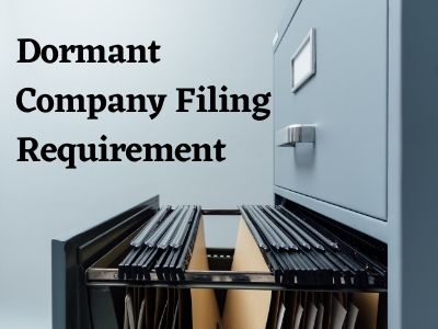 Dormant Company Filing Requirement