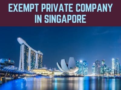 Singapore Exempt Private Company Business Requirement